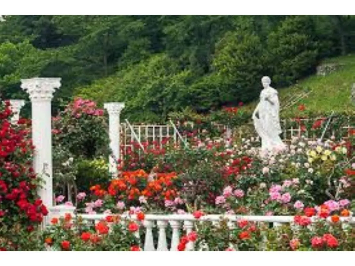 Guest house Sadie'S Home / Vacation Stay 7575 Kawasaki