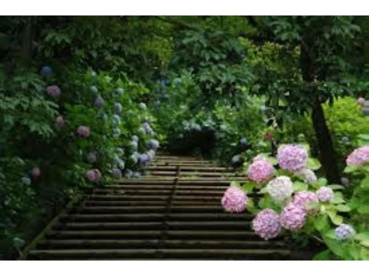 Guest house Sadie'S Home / Vacation Stay 7575 Kawasaki